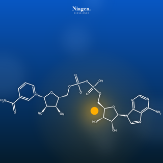 NAD+ Fundamentals: The Science of Niagen® for Healthcare Providers